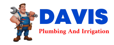 Trusted plumber in RUMELY